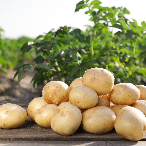 aardappelen voedingswaarde