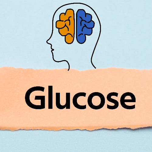 glucose voor brein