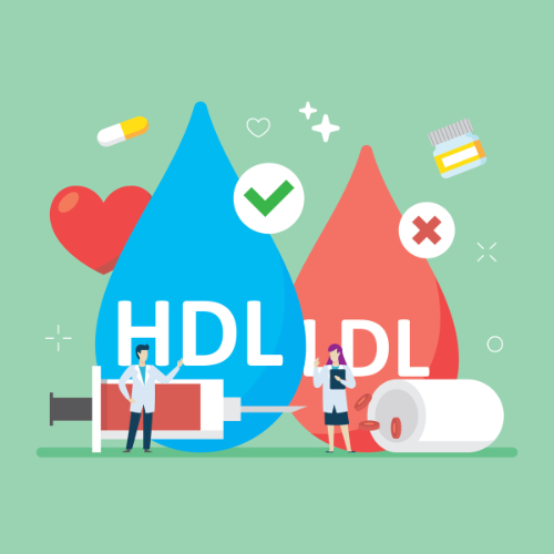 HDL- en LDL-cholesterol