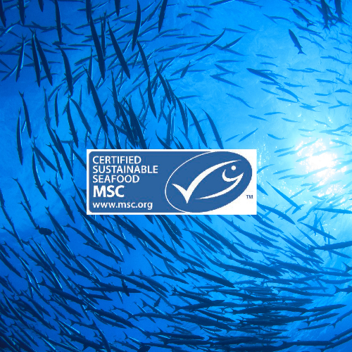 MSC staat voor duurzame visserij