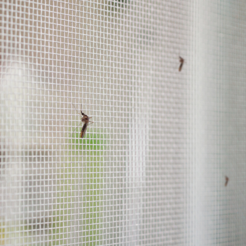 Muggen buiten houden om muggenbeet tegen te gaan