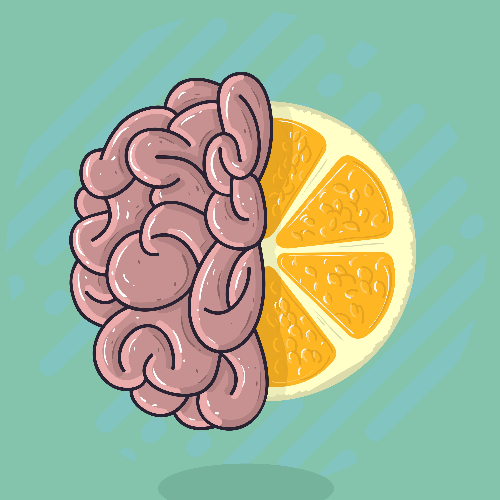 vitamine C hersenen