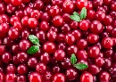 Cranberries gezond