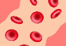 Hemoglobine en bloedarmoede