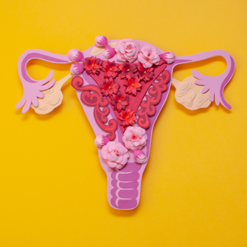 Symptomen van endometriose kan behandeld worden met voeding