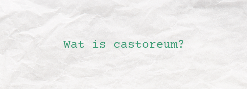 Wat is castoreum?