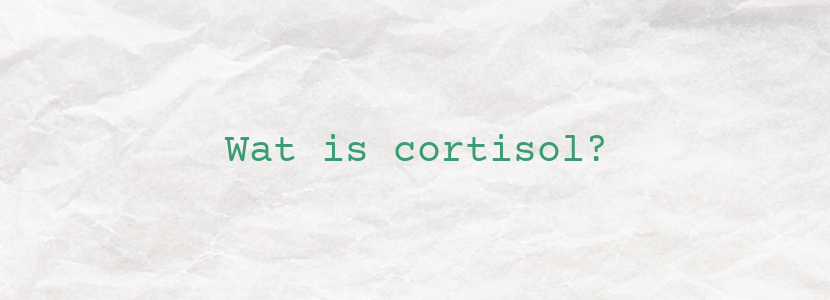 Wat is cortisol?