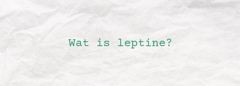 Wat is leptine?