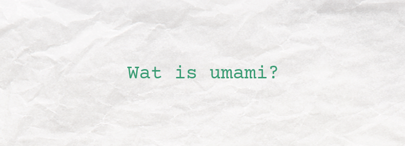 Wat is umami?