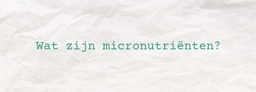 Wat zijn micronutriënten?