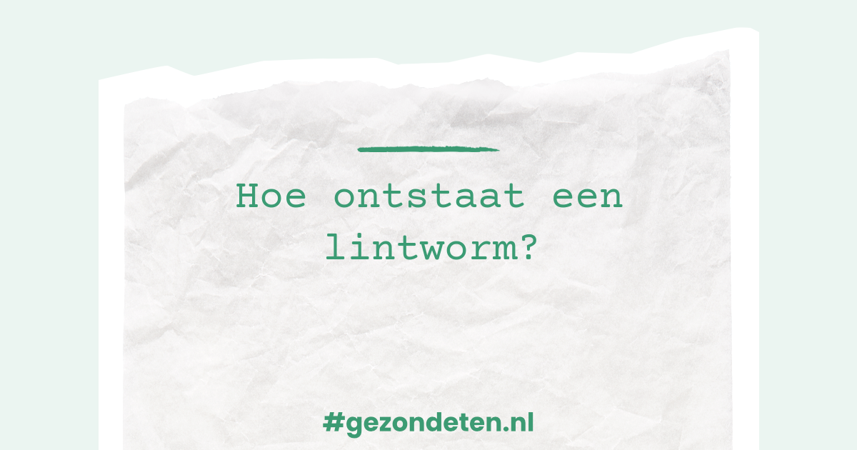 Hoe ontstaat een lintworm? | Gezondeten.nl