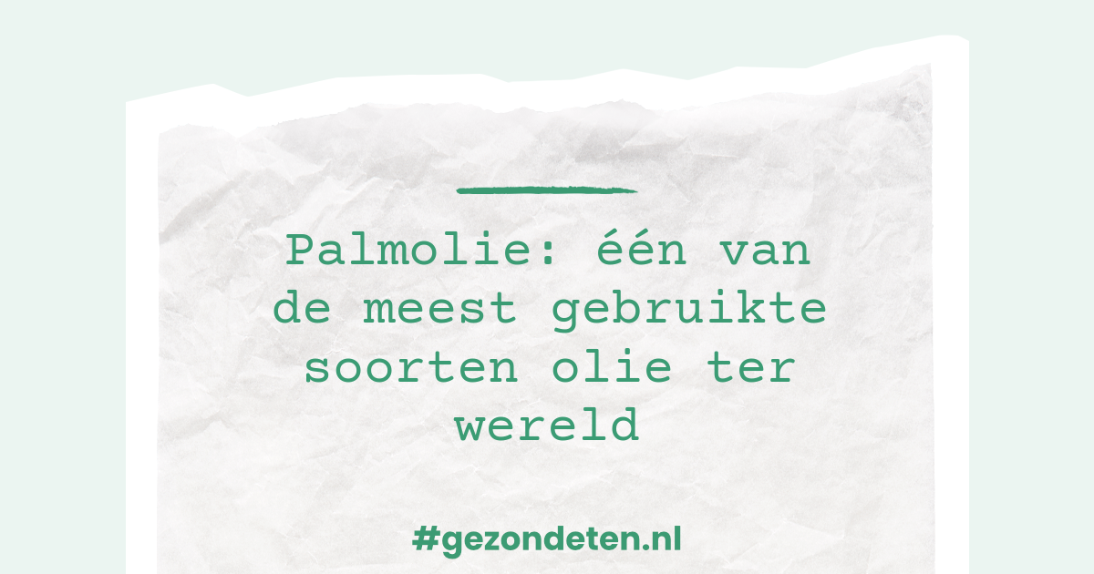 Palmolie: Alles Wat Je Moet Weten Over Palmolie