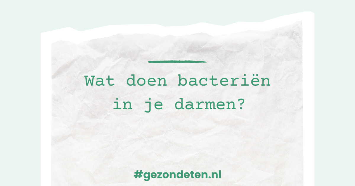 Wat doen bacteriën in je darmen?