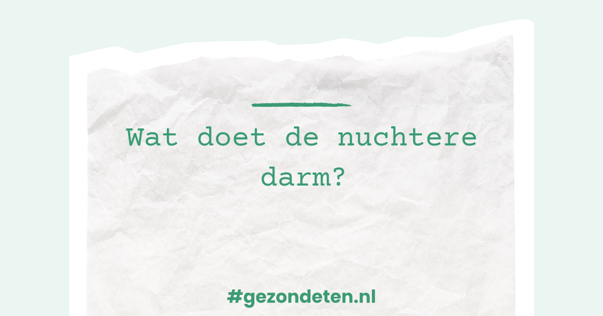 Wat Doet De Nuchtere Darm? | Gezondeten.nl