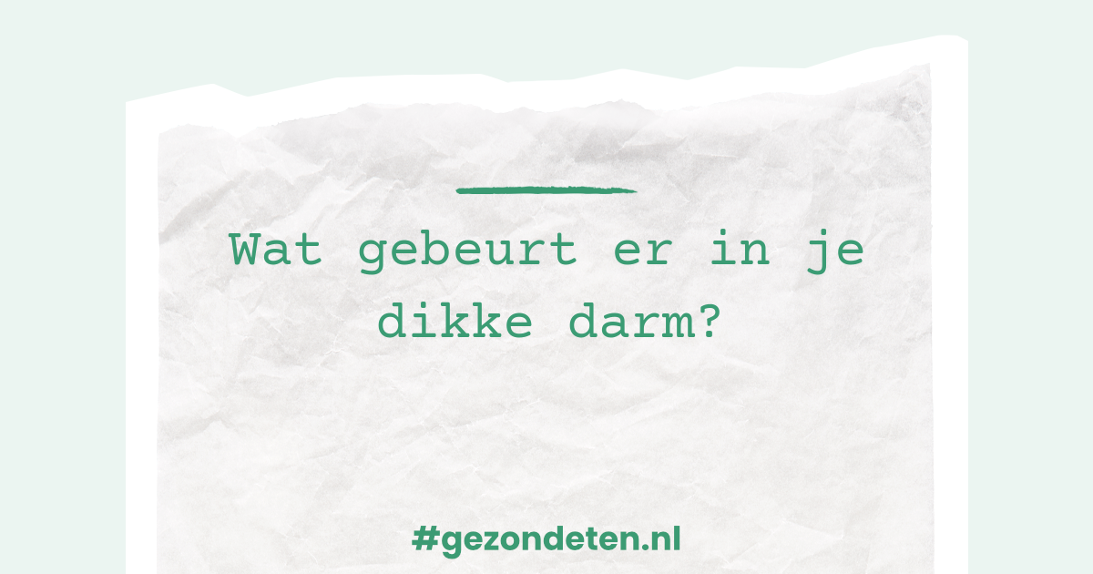 Wat gebeurt er in je dikke darm? Gezondeten.nl Wat gebeurt er in je dikke darm? Gezondeten.nl