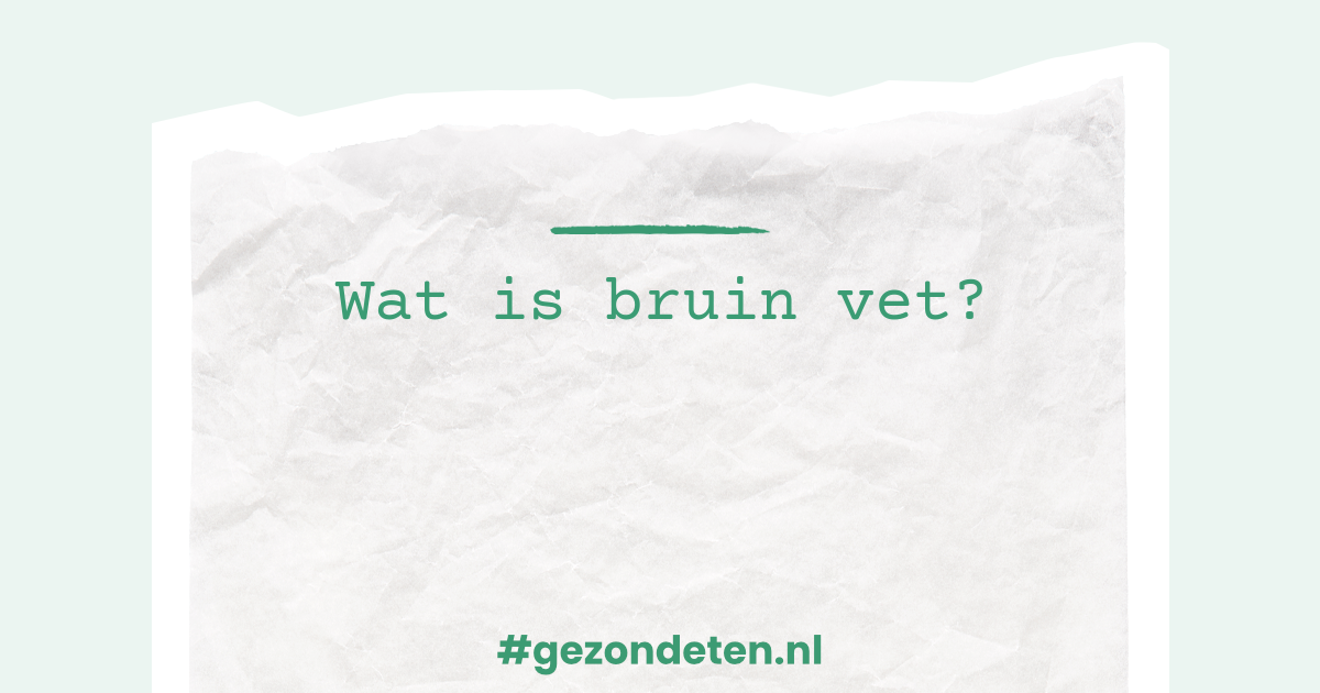 Wat is bruin vet? | Gezondeten.nl