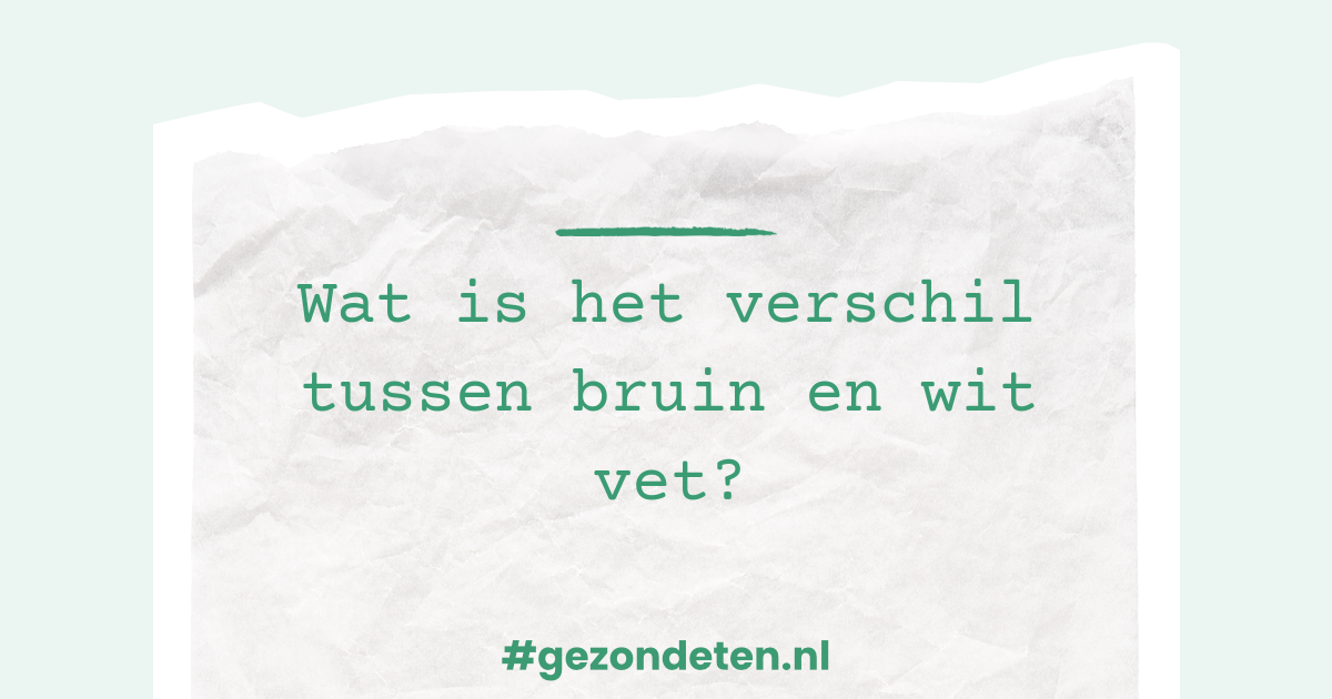 Wat is het verschil tussen bruin en wit vet?